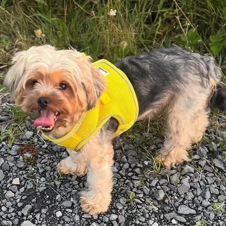 Bed & Breakfast Rooms Foxford