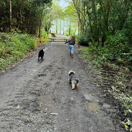 Rooms Foxford Bed & Breakfast Foxford