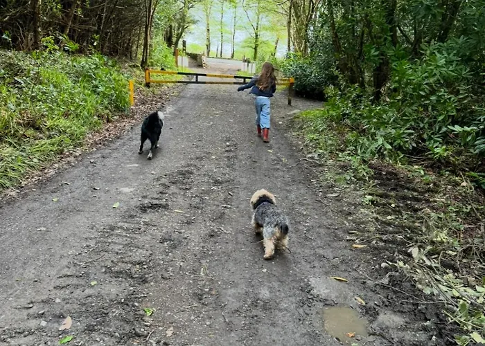 Rooms Foxford Отель типа 